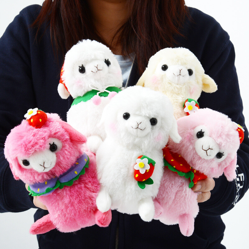 alpacasso collection