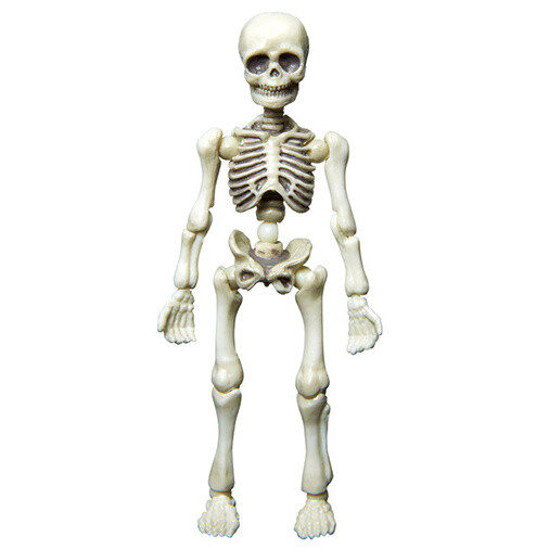 posable skeleton model