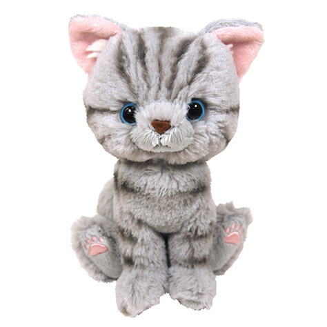 cute kitten plush