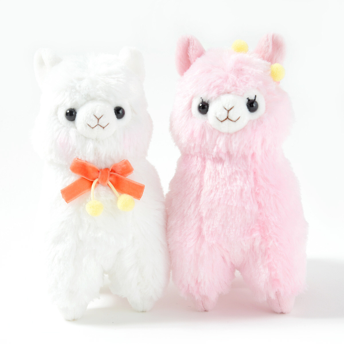 alpacasso collection