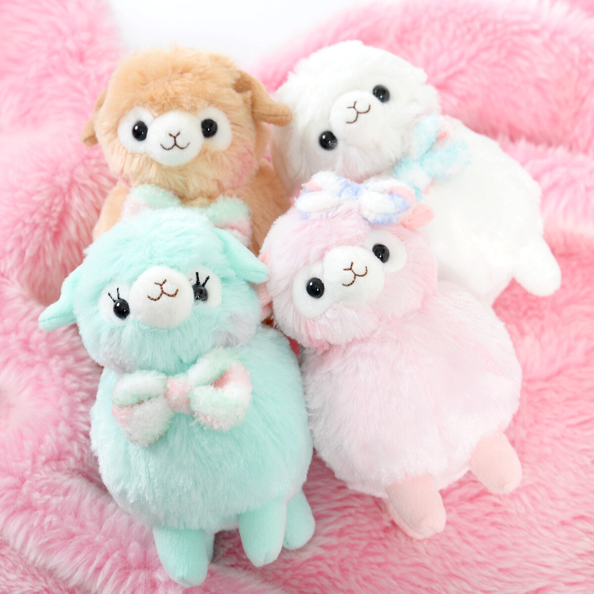 alpacasso large