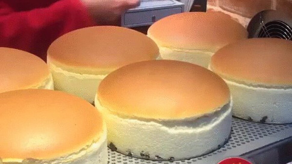 Japan's Bouncy Cheesecakes are Love at First Sight | Tokyo Otaku Mode News