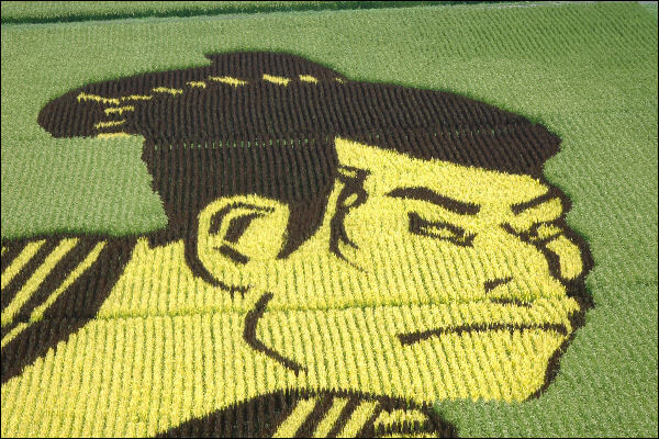 introducing tanbo art from all over japan