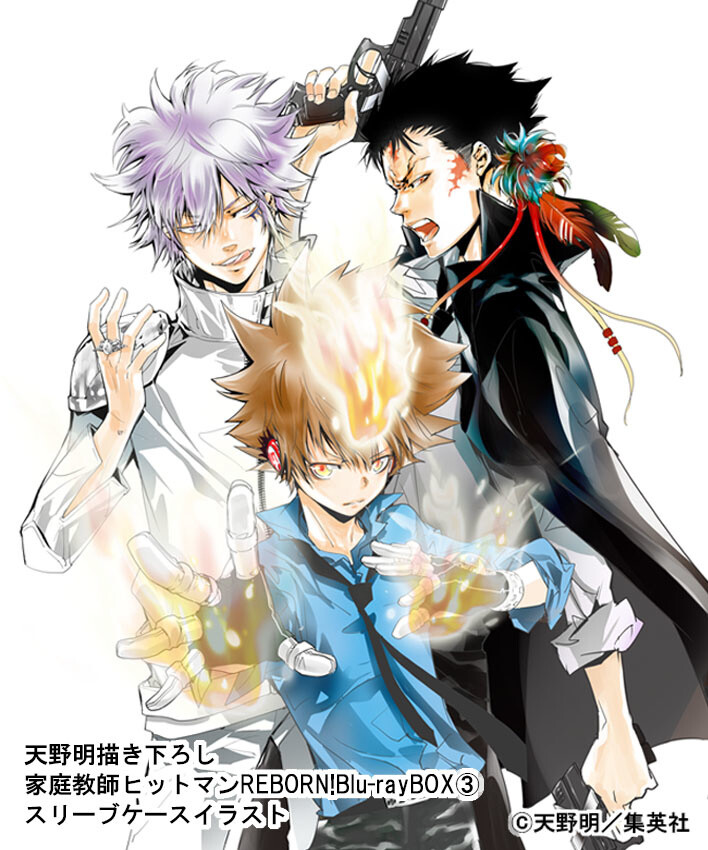 katekyo hitman reborn box set