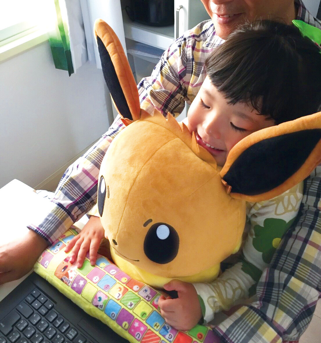 pc cushion eevee