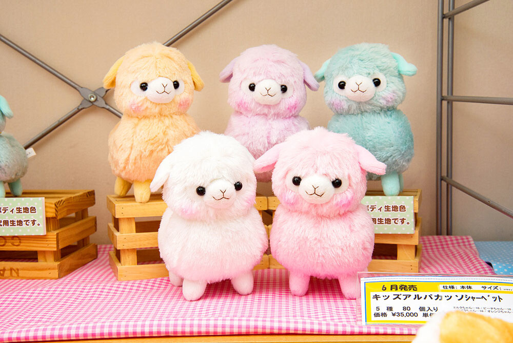 alpacasso 10th anniversary